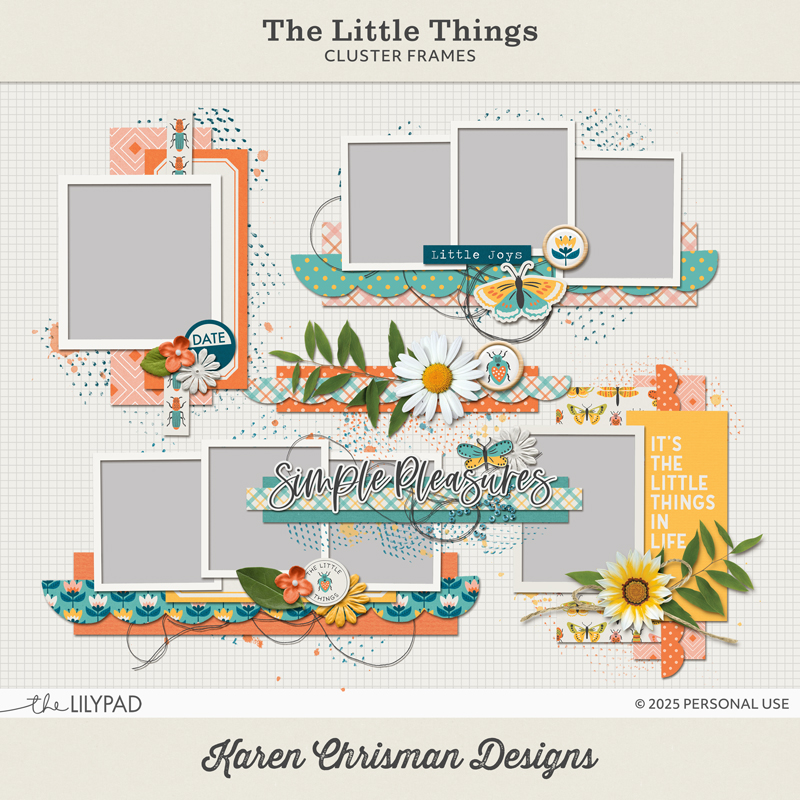 The Little Things | Cluster Frames