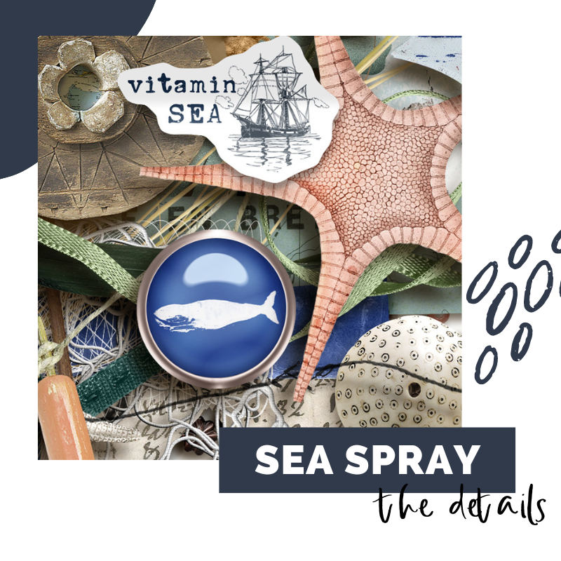 The Mixed Media Signature Kits: Sea Spray - Image 2