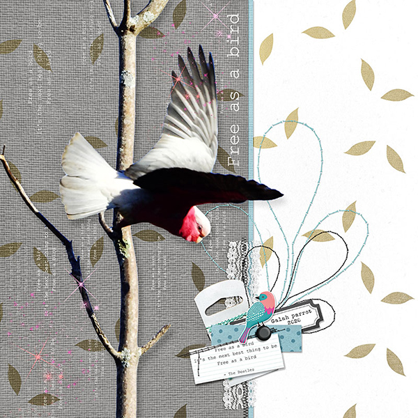 Freebird Elements - Image 2