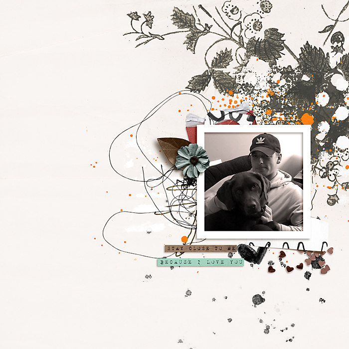 Stay Close: Bundle - Image 6