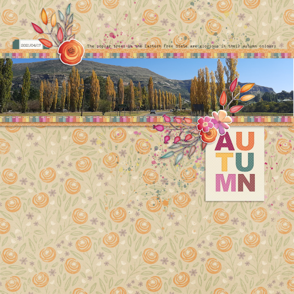 Aria Tiny Notecards - Image 2