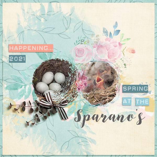 Daria Paper Pack - Image 2