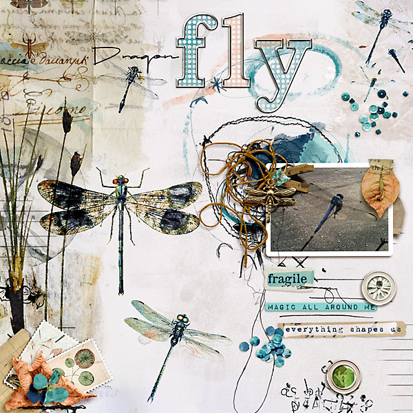 Stampalicious: Anisoptera Template Duo - Image 3