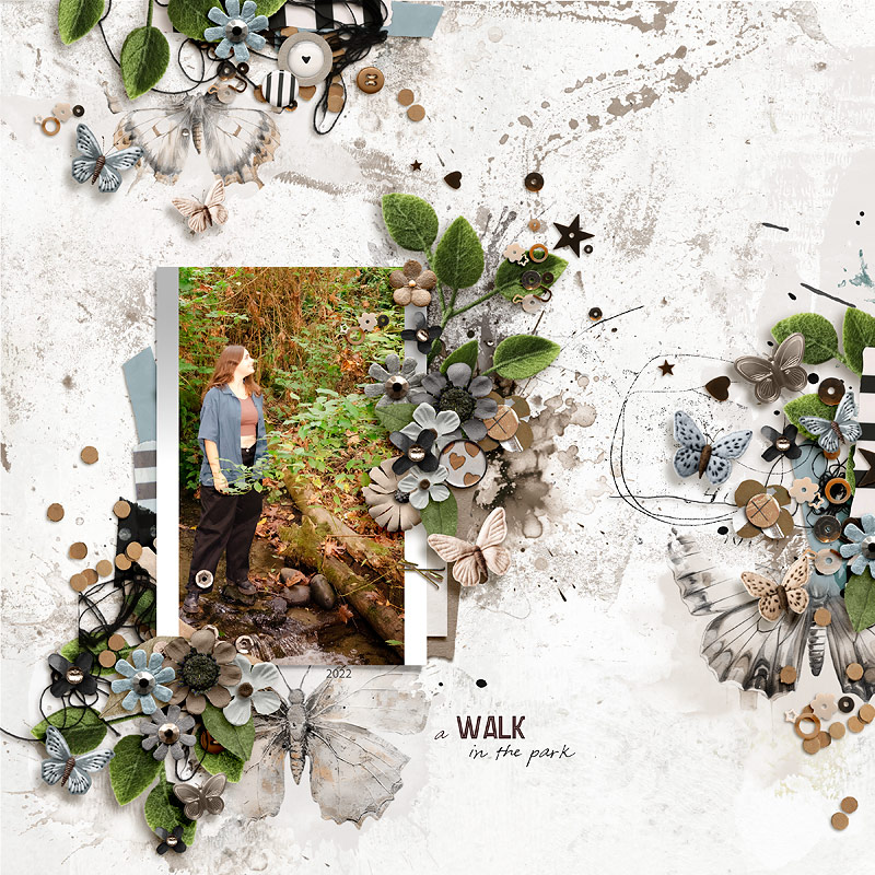 Foundation | Butterflies - Image 2
