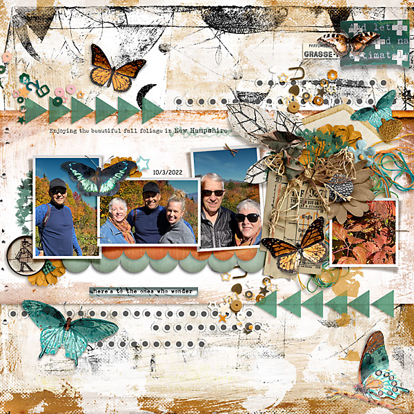 Stay Curious: Butterflies - Image 2