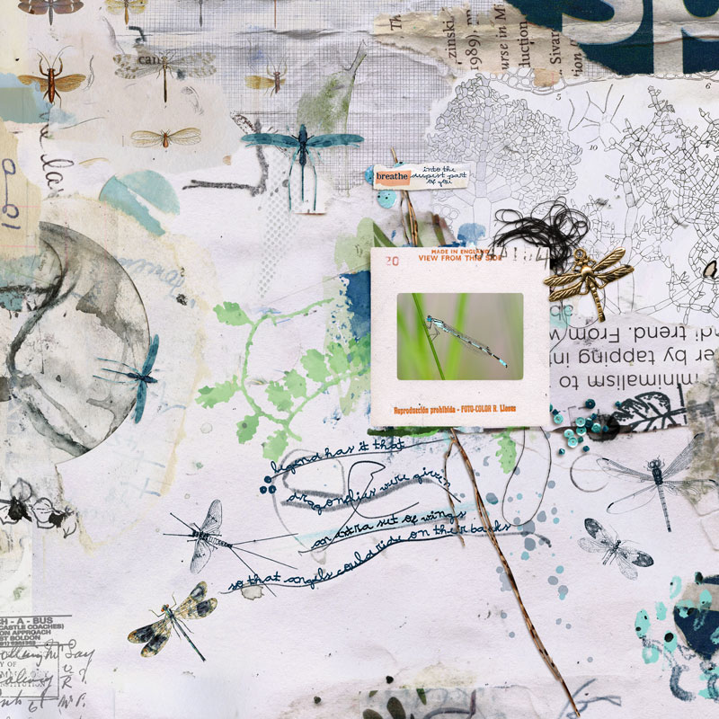 Anisoptera: Mixed Media Artistry - Image 3