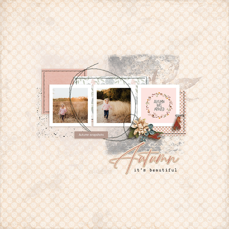 Winds of change | Collection - Image 6