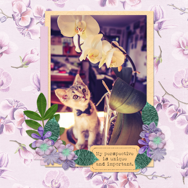 Freyja Paper Pack - Image 3