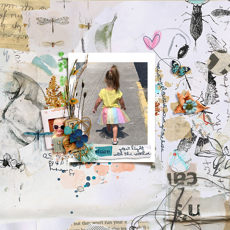 Anisoptera: Mixed Media Collection - Image 4