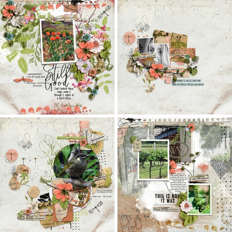 April '21 BYOC Money Saving Bundle - Image 8