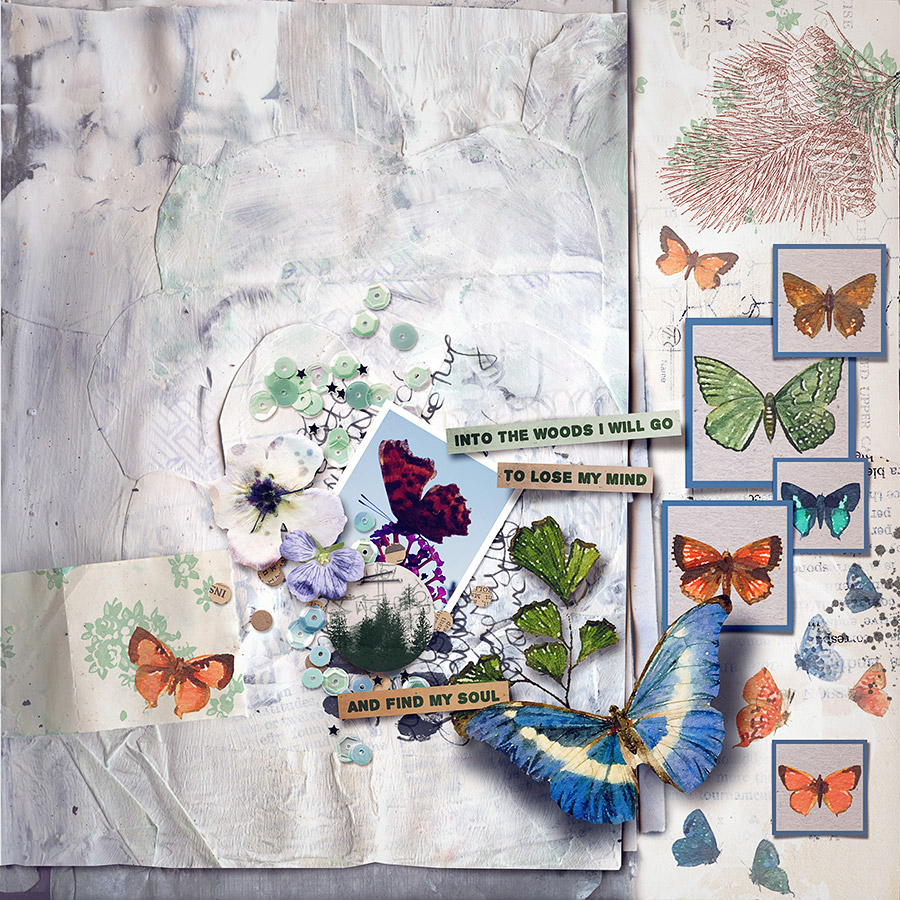 Step By Step: Butterflies - Image 2