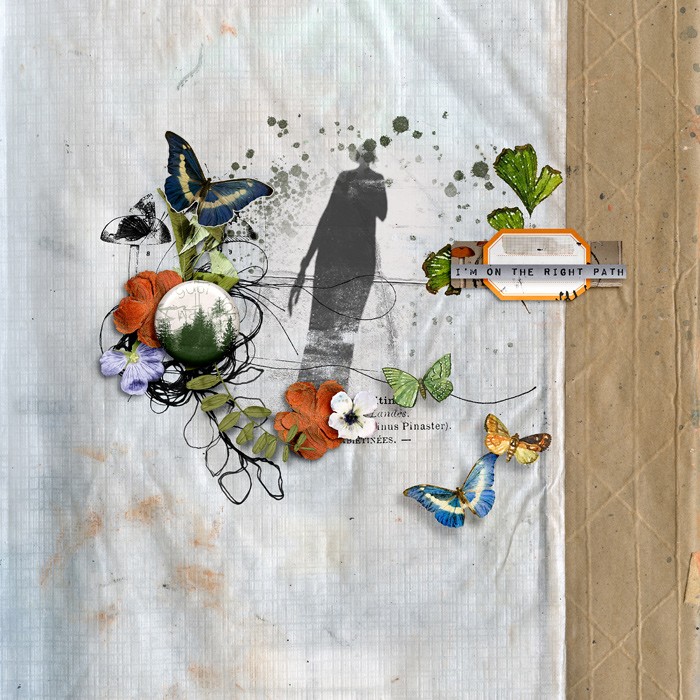 Step By Step: Butterflies - Image 3