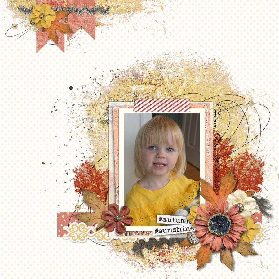 Indian Summer - Bundle - Image 2