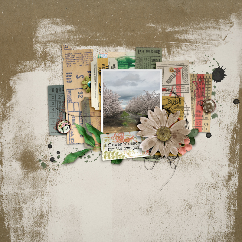 Ephemera 01 - Image 5