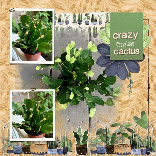 Crazy Plant Lady Alpha - Image 4