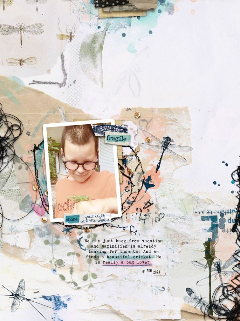 Anisoptera: Mixed Media Collection - Image 7