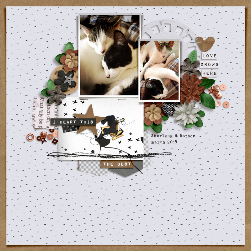 Pocket Art UNPACKED: The Paperie | SIG 1 - Image 5