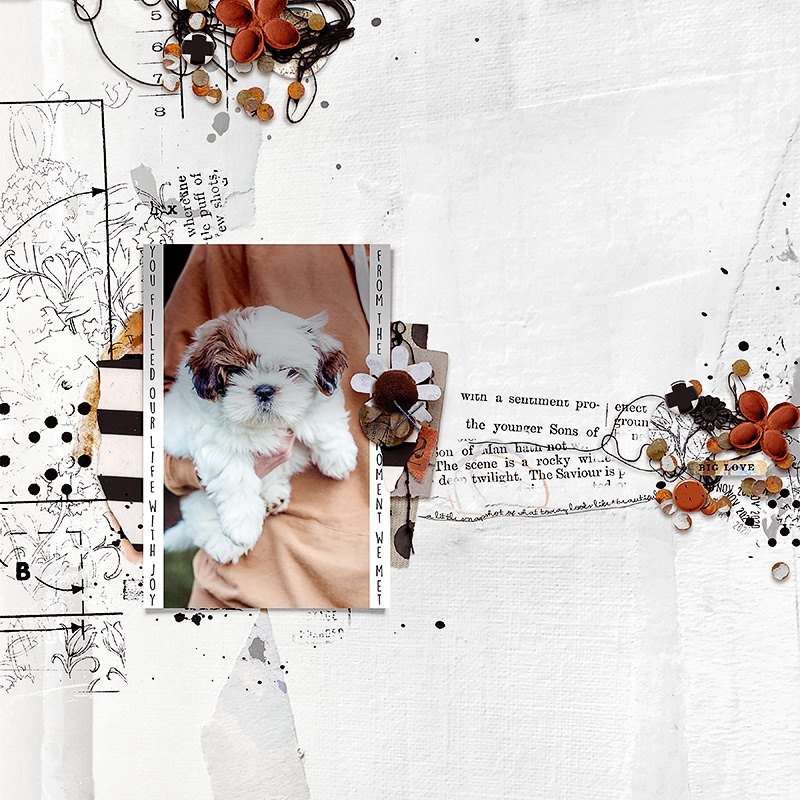 The Intrinsic Series | Layered Template Set 2 - Image 3