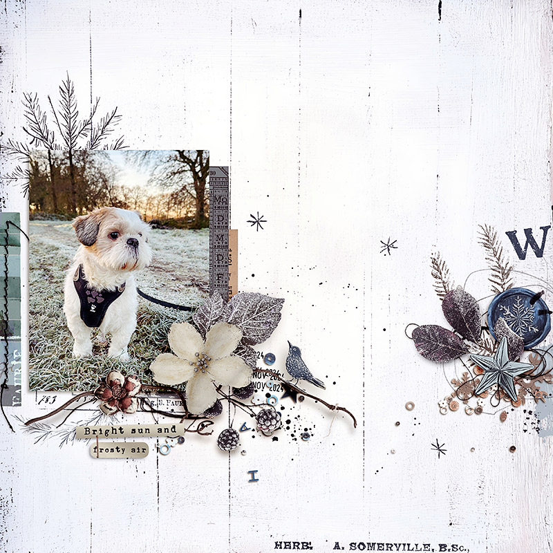 Brumal | Template Duo - Image 3