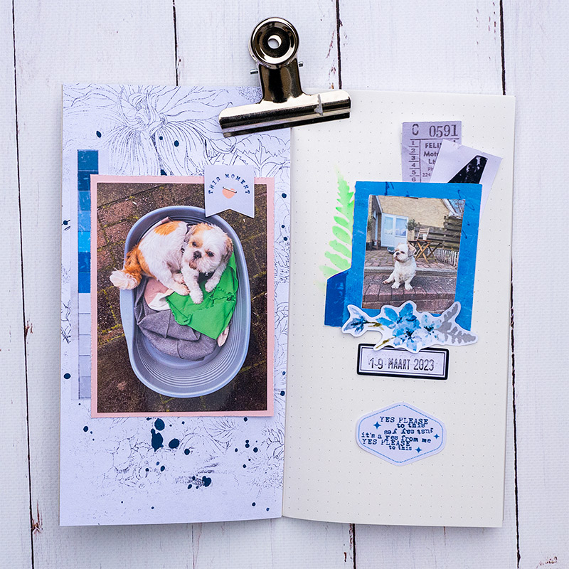 The Mixed Media Signature Kits: Unexpected - Image 5