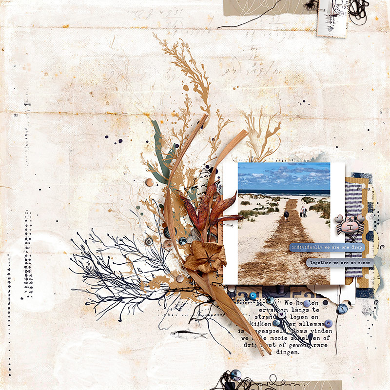 Thallus | The Complete Mixed Media Collection - Image 2