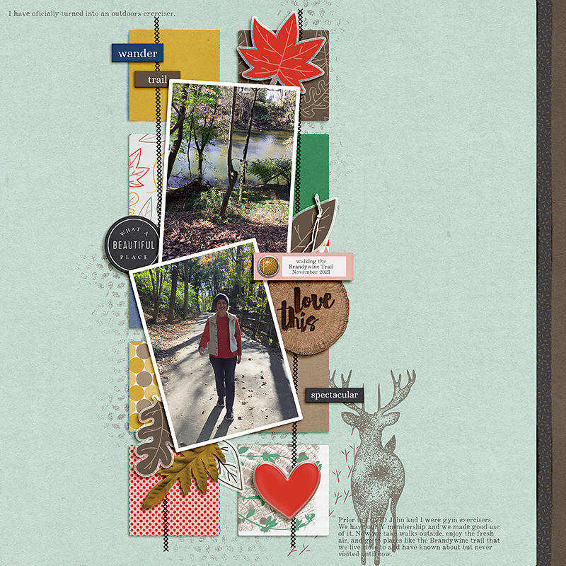 A Walk In the Woods | Kit - Image 7