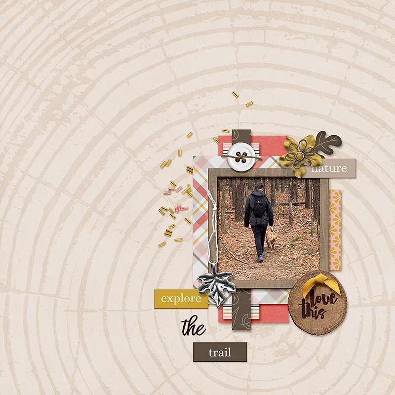 A Walk In the Woods | Kit - Image 8