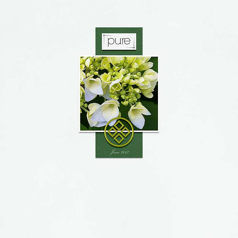 Ajisai {Hydrangeas} | Kit - Image 9