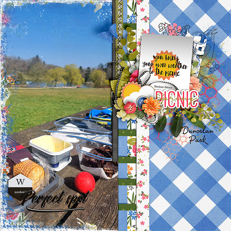 Alpaca Picnic | Kit - Image 3