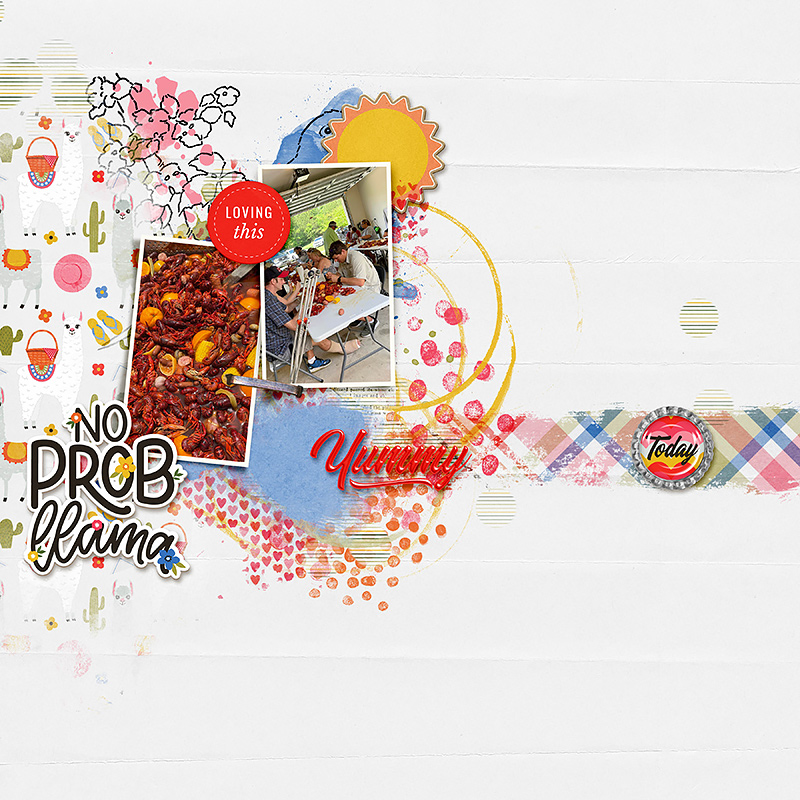 Alpaca Picnic | Kit - Image 6