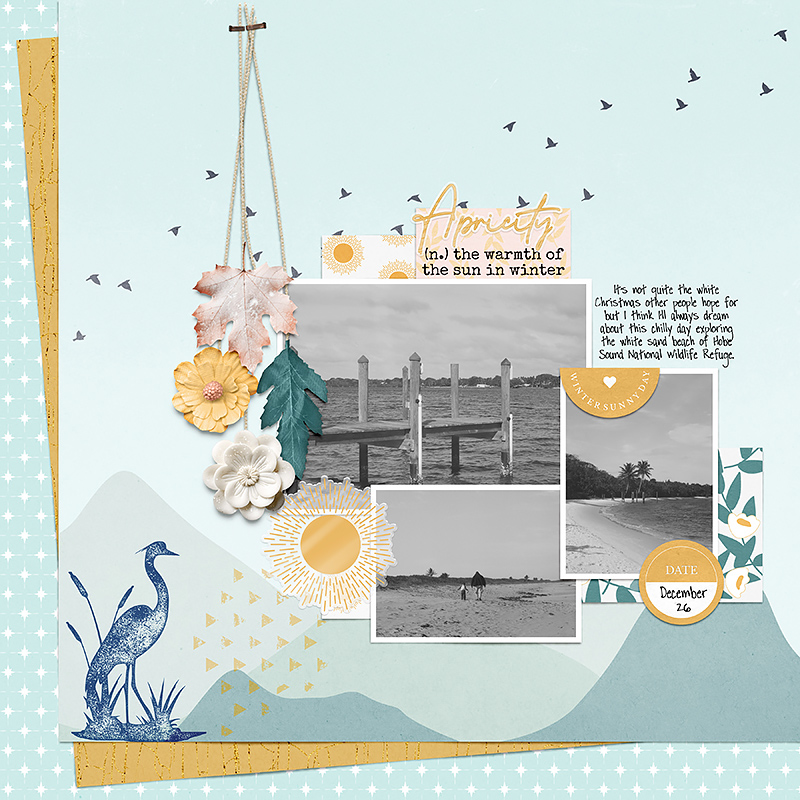 Apricity | Elements - Image 4