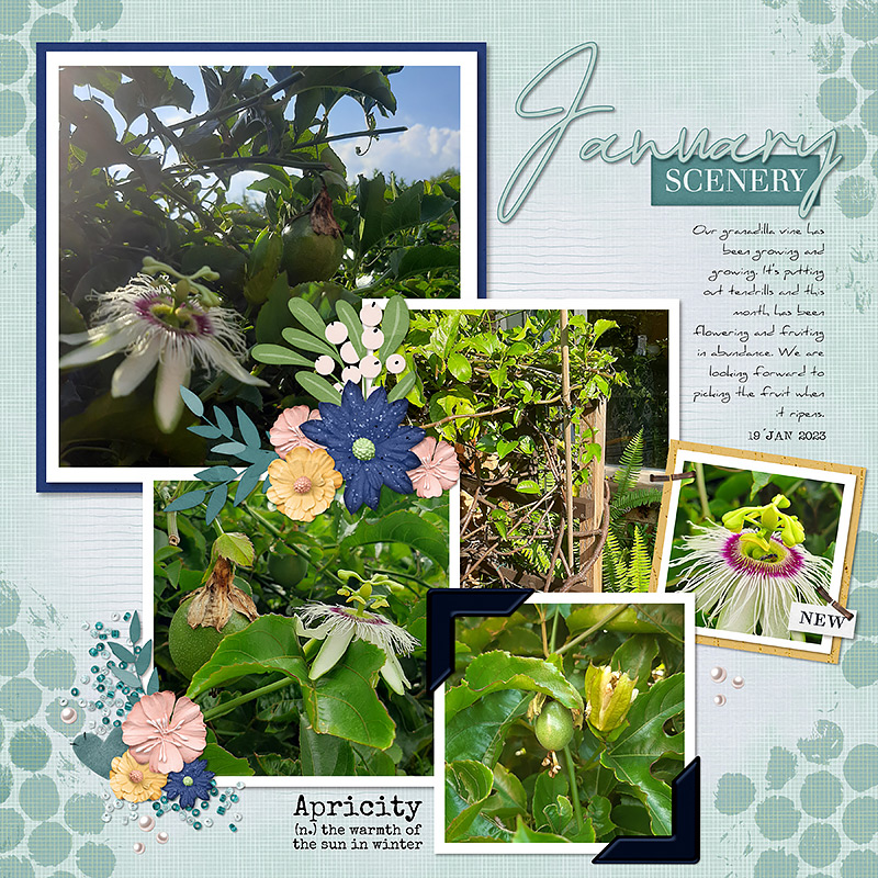 Apricity | Kit - Image 4