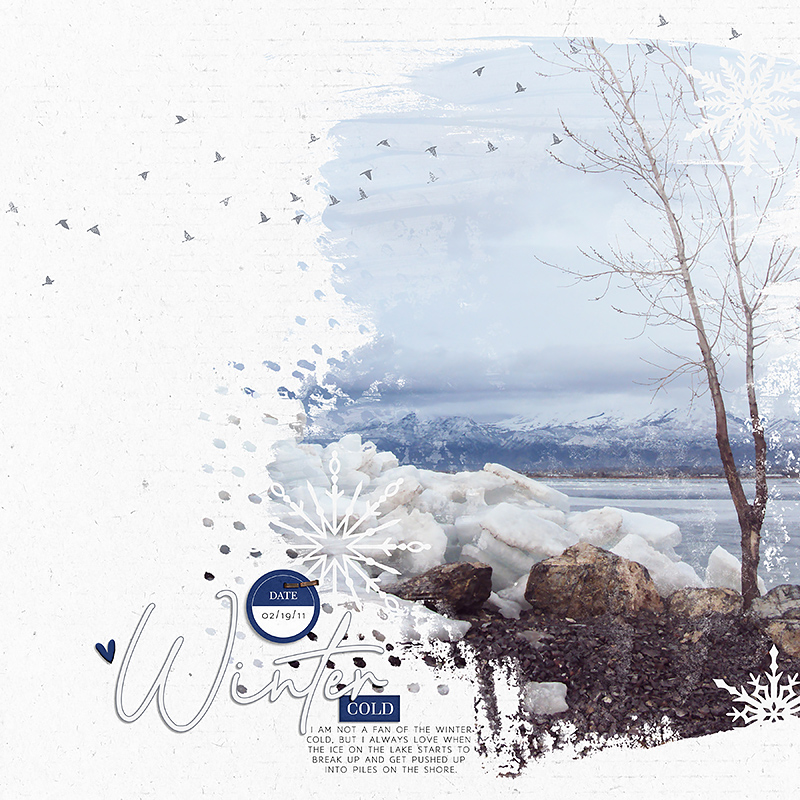 Apricity | Kit - Image 7