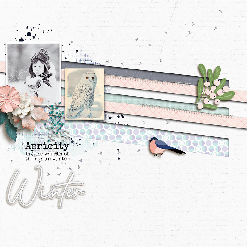 Apricity | Kit - Image 9