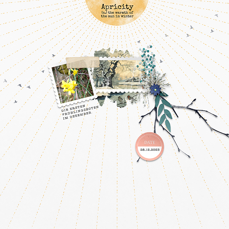 Apricity | Kit - Image 10
