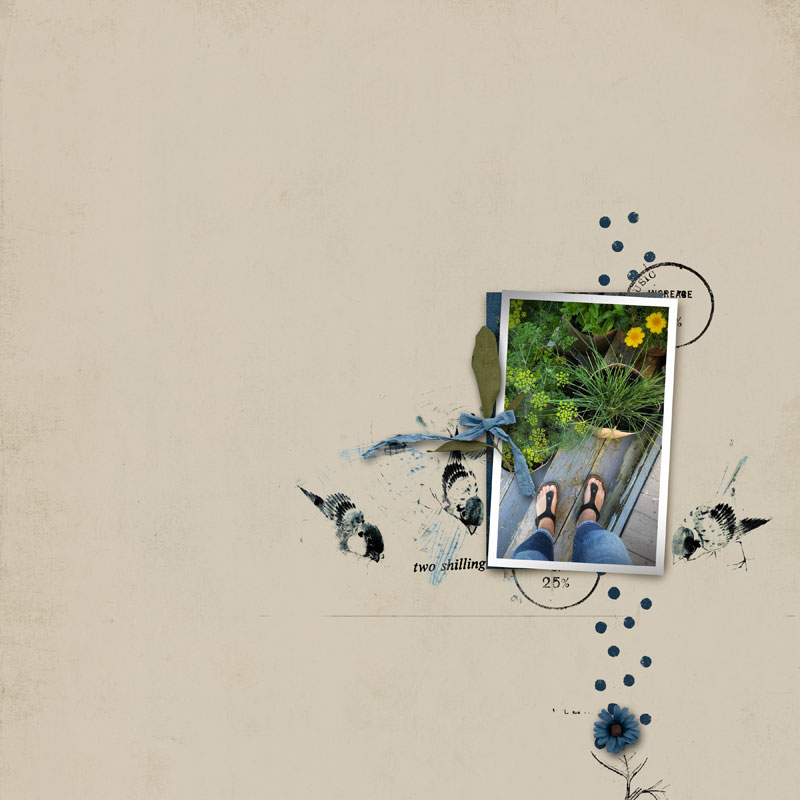 Music of the Earth: The Pace of Nature | Basic Backgrounds - Image 2