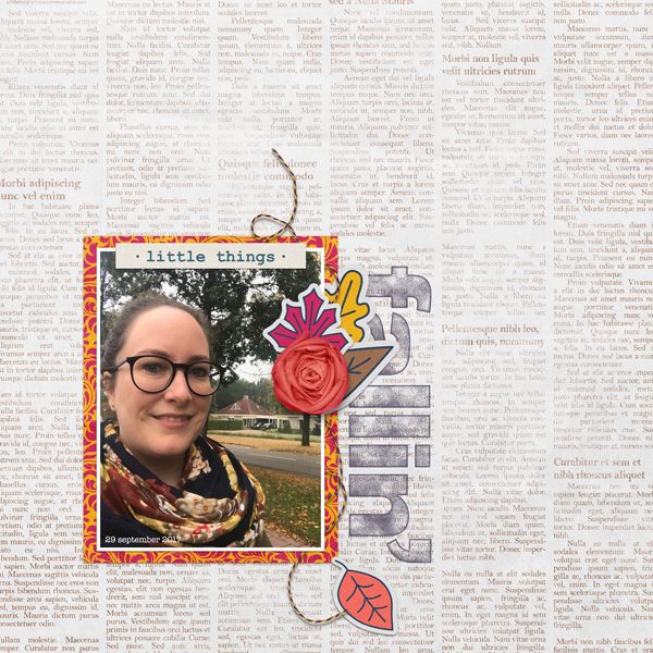 Ameline Bundle - Image 5