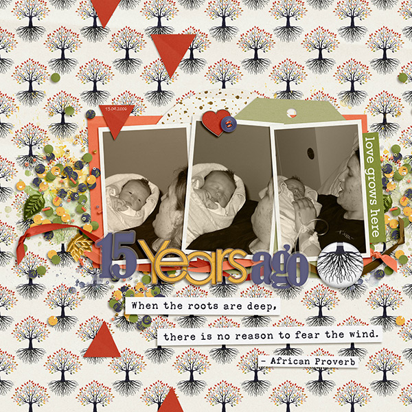 Putting Down Roots | Papers - Image 2