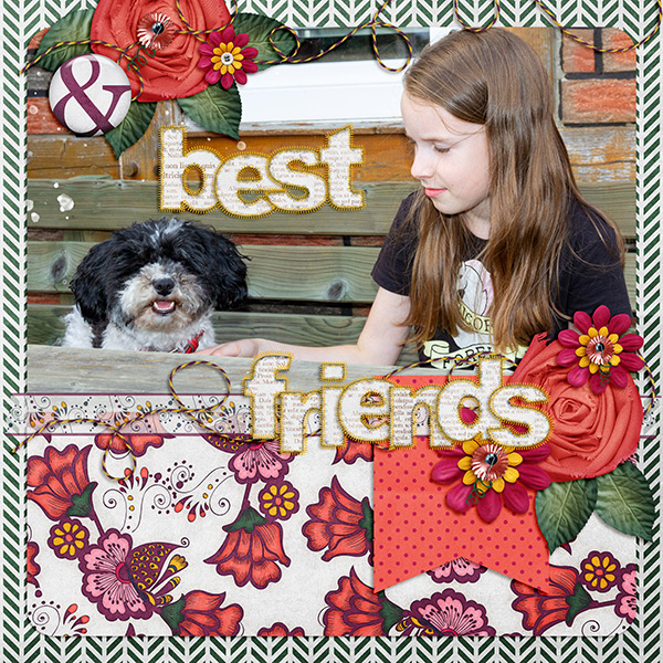 Ameline Bundle - Image 15
