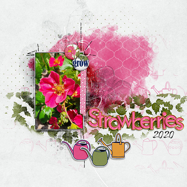 Garden Variety Papers - Image 4