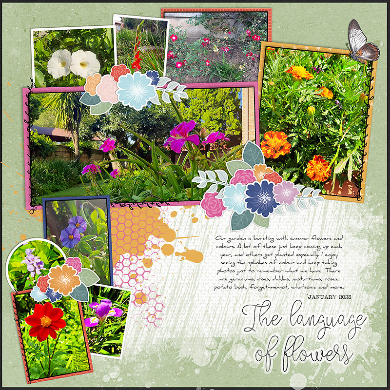 Bouquet | Kit - Image 3
