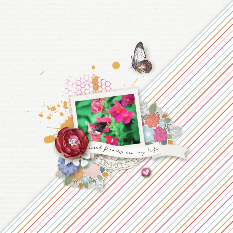 Bouquet | Kit - Image 8