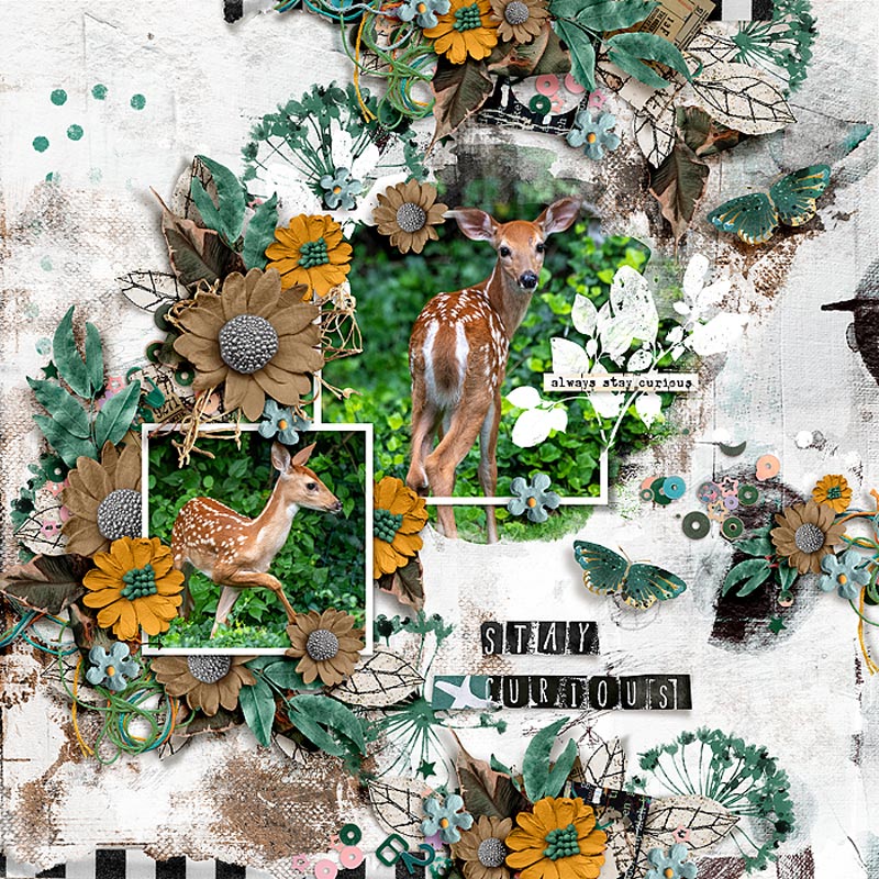 I'm Ready | Dirty Whites Background Set - Image 6