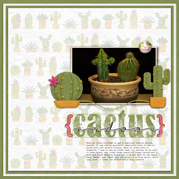 Garden Variety Papers - Image 5