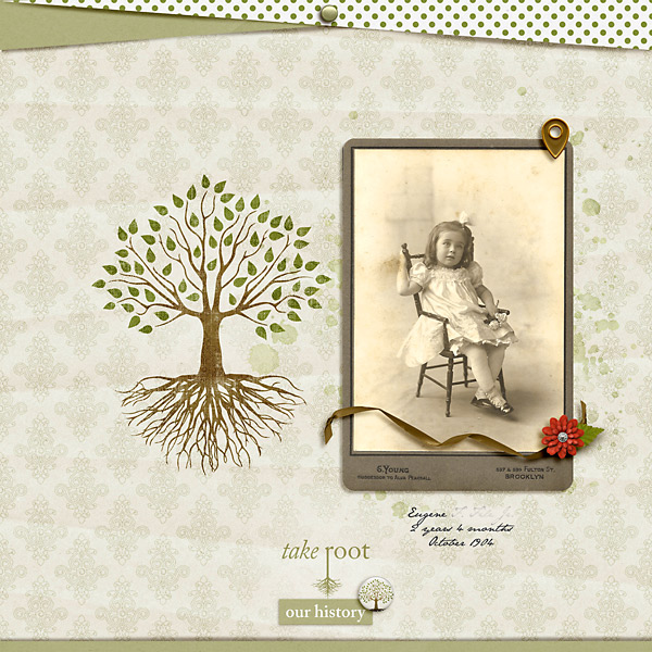 Putting Down Roots | Words - Image 5