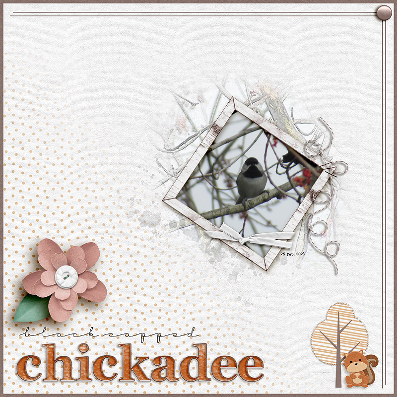 Woodland Friends 2 Bundle - Image 5