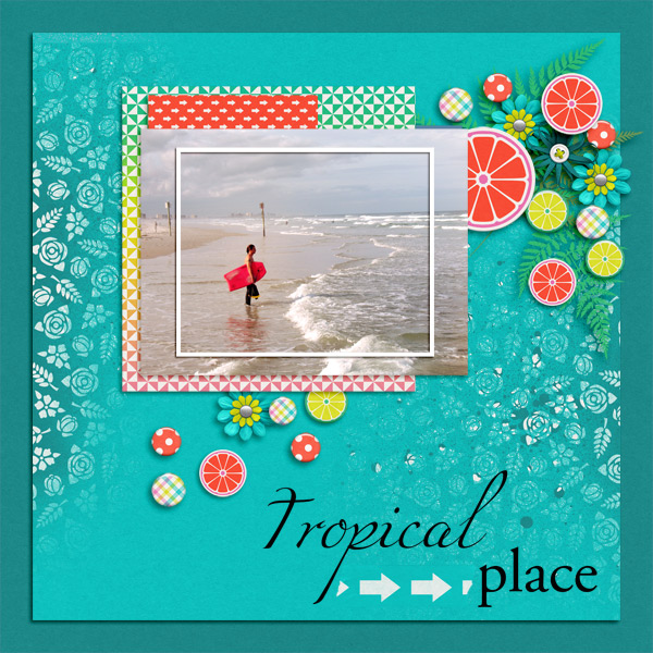 Vibrant Bundle - Image 8