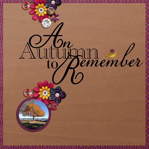 Ameline Bundle - Image 11