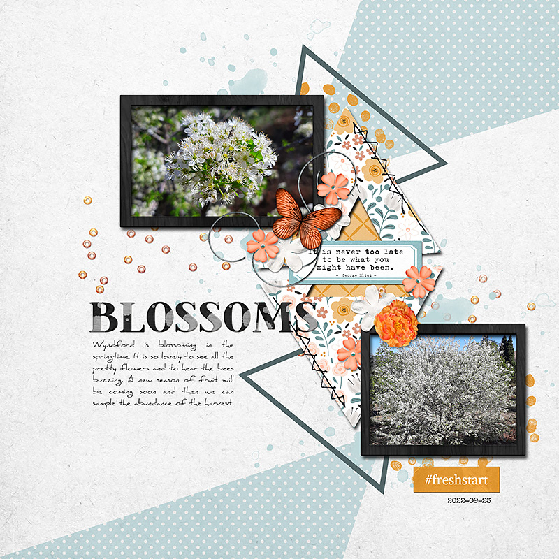 Clean Slate | Bundle - Image 3