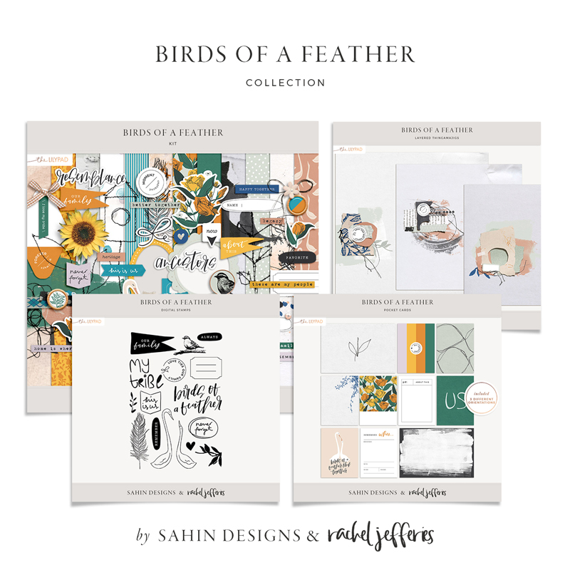 Birds Of A Feather: Collection